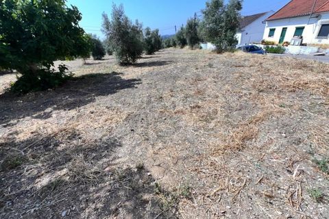 Terra a Olaia e Paco, Santarem, Olaia e Paco - € 120.000 | Ref: TM93453 - foto 8