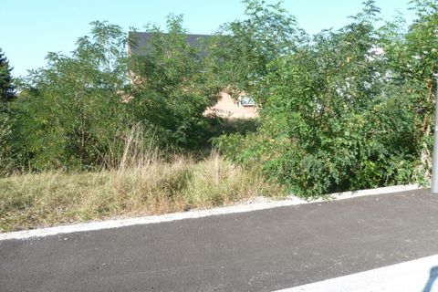 Terra a Dauendorf, Bas-Rhin, Dauendorf - € 106.000 | Ref: 4014 - foto 3