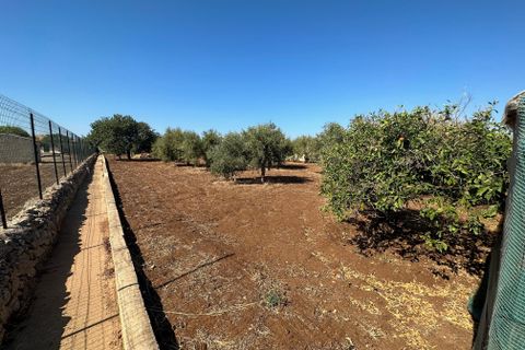 Villa i Modica, Ragusa, Modica - € 350.000 | Ref: 11290 - foto 14