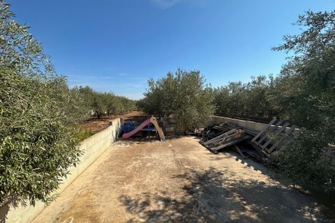 Villa i Modica, Ragusa, Modica - € 350.000 | Ref: 11290 - foto 15