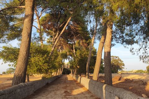 Villa i Modica, Ragusa, Modica - € 1 800 000 | Ref: 11294 - foto 8