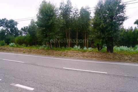 Helårsgrund i Moncao, Viana do Castelo, Moncao - € 160.000 | Ref: 4030 - foto 2
