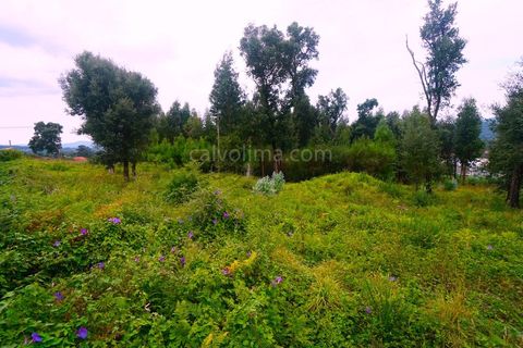 Helårsgrund i Moncao, Viana do Castelo, Moncao - € 160.000 | Ref: 4030 - foto 4