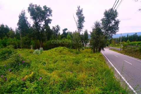 Helårsgrund i Moncao, Viana do Castelo, Moncao - € 160.000 | Ref: 4030 - foto 5