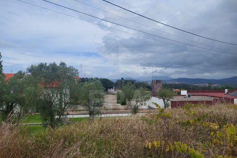 Helårsgrund i Esposende, Braga, Esposende - € 210.000 | Ref: 039230164 - foto 5