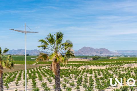Villa a Algorfa, Alicante, Algorfa - € 445.000 | Ref: 0788 - foto 26