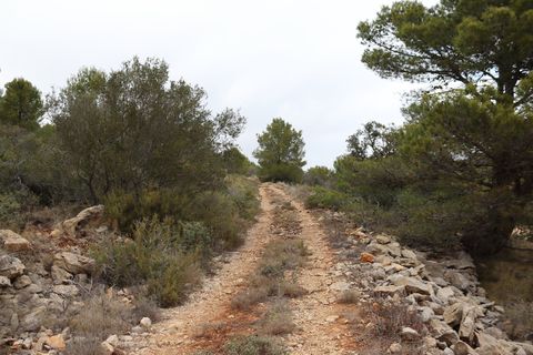 Helårsgrund i Jalon, Alicante, Jalon - € 149.000 | Ref: SLV9-8219L - foto 2