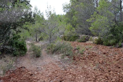 Helårsgrund i Jalon, Alicante, Jalon - € 149.000 | Ref: SLV9-8219L - foto 3