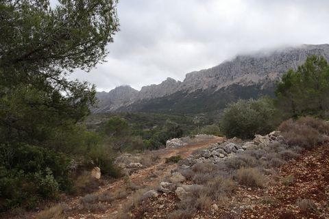 Helårsgrund i Jalon, Alicante, Jalon - € 149.000 | Ref: SLV9-8219L - foto 4