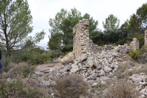 Helårsgrund i Jalon, Alicante, Jalon - € 149.000 | Ref: SLV9-8219L - foto 7