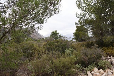 Helårsgrund i Jalon, Alicante, Jalon - € 149.000 | Ref: SLV9-8219L - foto 10