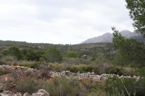 Helårsgrund i Jalon, Alicante, Jalon - € 149.000 | Ref: SLV9-8219L - foto 11