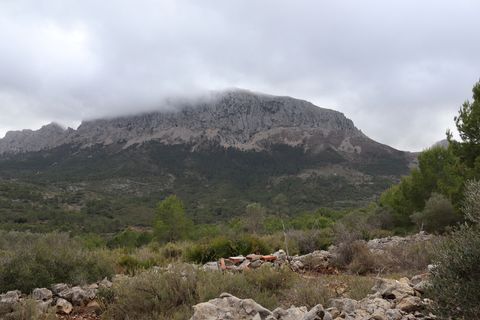 Helårsgrund i Jalon, Alicante, Jalon - € 149.000 | Ref: SLV9-8219L - foto 12