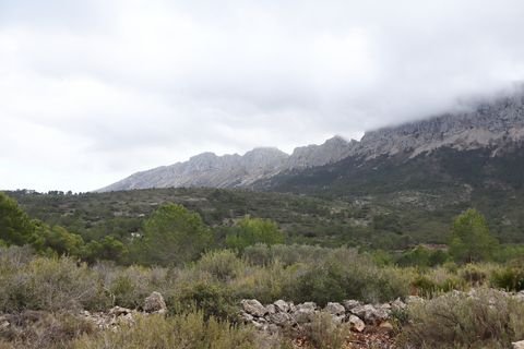 Helårsgrund i Jalon, Alicante, Jalon - € 149.000 | Ref: SLV9-8219L - foto 13