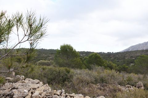 Helårsgrund i Jalon, Alicante, Jalon - € 149.000 | Ref: SLV9-8219L - foto 14