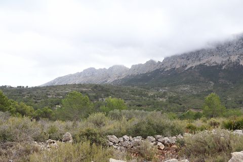 Helårsgrund i Jalon, Alicante, Jalon - € 149.000 | Ref: SLV9-8219L - foto 15