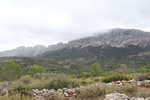 Helårsgrund i Jalon, Alicante, Jalon - € 149.000 | Ref: SLV9-8219L - foto 16