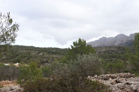 Helårsgrund i Jalon, Alicante, Jalon - € 149.000 | Ref: SLV9-8219L - foto 17