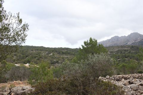Helårsgrund i Jalon, Alicante, Jalon - € 149.000 | Ref: SLV9-8219L - foto 18