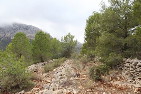 Helårsgrund i Jalon, Alicante, Jalon - € 149.000 | Ref: SLV9-8219L - foto 19