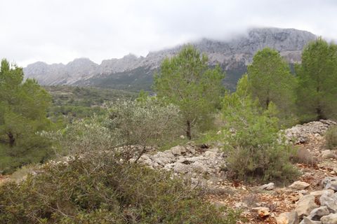 Helårsgrund i Jalon, Alicante, Jalon - € 149.000 | Ref: SLV9-8219L - foto 20