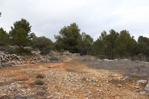 Helårsgrund i Jalon, Alicante, Jalon - € 149.000 | Ref: SLV9-8219L - foto 21