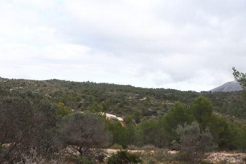 Helårsgrund i Jalon, Alicante, Jalon - € 149.000 | Ref: SLV9-8219L - foto 22