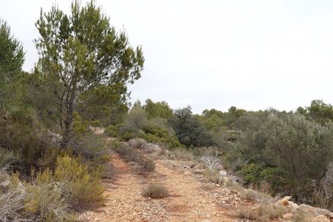 Helårsgrund i Jalon, Alicante, Jalon - € 149.000 | Ref: SLV9-8219L - foto 23