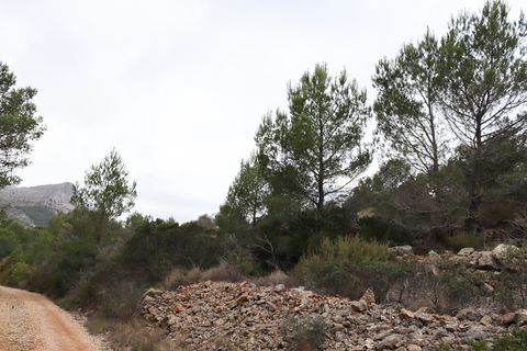 Helårsgrund i Jalon, Alicante, Jalon - € 149.000 | Ref: SLV9-8219L - foto 25