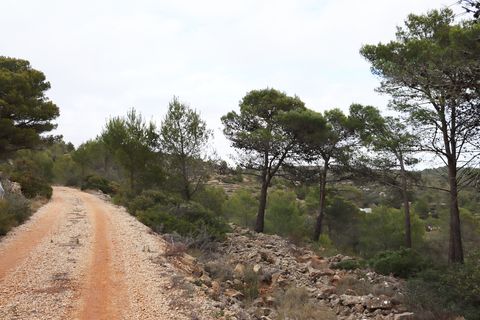 Helårsgrund i Jalon, Alicante, Jalon - € 149.000 | Ref: SLV9-8219L - foto 26