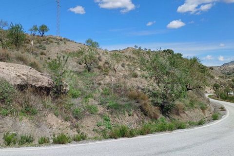 Helårsgrund i Taberno, Almeria, Taberno - € 5.000 | Ref: R22236 - foto 4