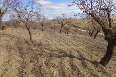 Cortijo i Velez-Rubio, Almeria, Velez-Rubio - € 78.000 | Ref: R22218 - foto 2