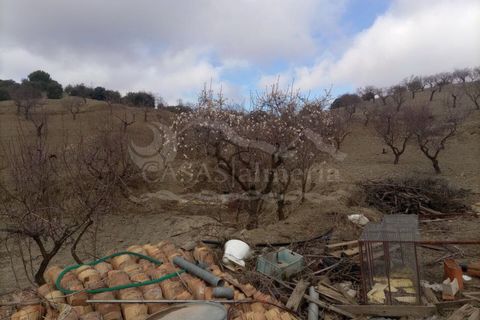 Cortijo i Velez-Rubio, Almeria, Velez-Rubio - € 78.000 | Ref: R22218 - foto 14