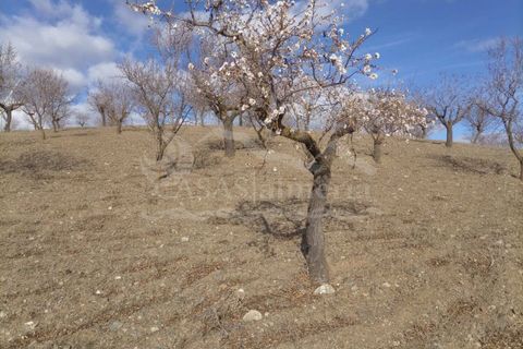 Cortijo i Velez-Rubio, Almeria, Velez-Rubio - € 78.000 | Ref: R22218 - foto 15