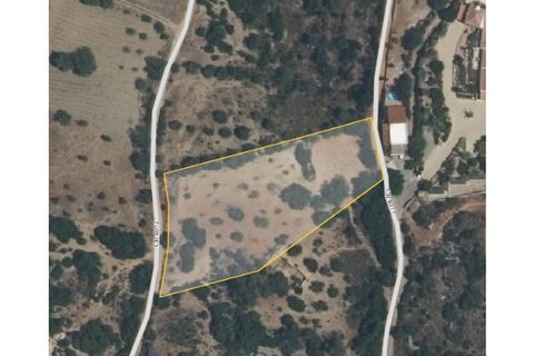 Helårsgrund i Estoi, Faro, Estoi - € 50.000 | Ref: TER_2366_VEND - foto 2