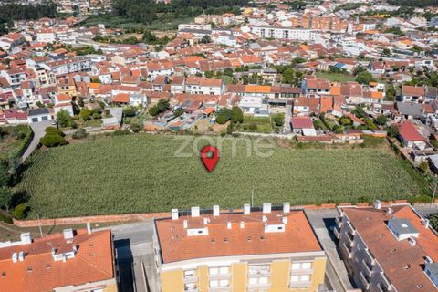 Helårsgrund i Ovar, Aveiro, Ovar - € 400.000 | Ref: ZMPT560855 - foto 3