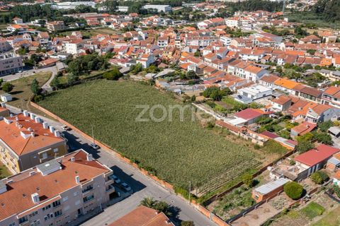 Helårsgrund i Ovar, Aveiro, Ovar - € 400.000 | Ref: ZMPT560855 - foto 4