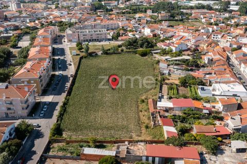 Helårsgrund i Ovar, Aveiro, Ovar - € 400.000 | Ref: ZMPT560855 - foto 5