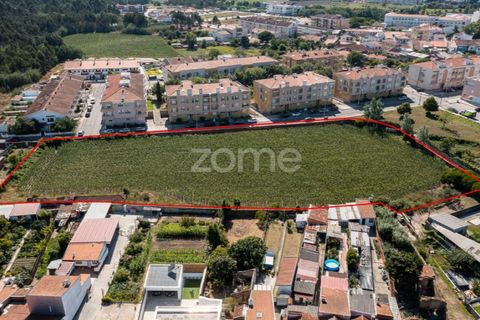 Helårsgrund i Ovar, Aveiro, Ovar - € 400.000 | Ref: ZMPT560855 - foto 7