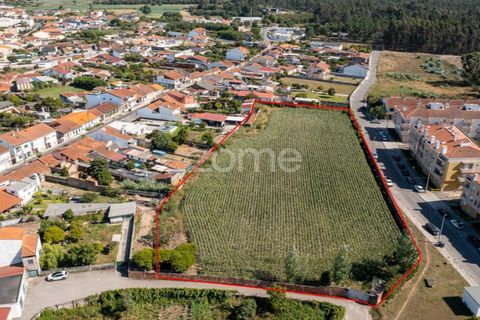 Helårsgrund i Ovar, Aveiro, Ovar - € 400.000 | Ref: ZMPT560855 - foto 8