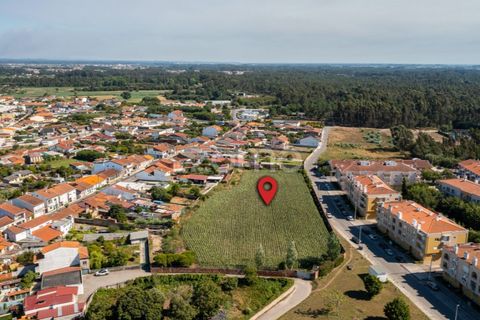Helårsgrund i Ovar, Aveiro, Ovar - € 400.000 | Ref: ZMPT560855 - foto 9