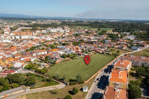 Helårsgrund i Ovar, Aveiro, Ovar - € 400.000 | Ref: ZMPT560855 - foto 10