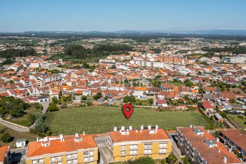 Helårsgrund i Ovar, Aveiro, Ovar - € 400.000 | Ref: ZMPT560855 - foto 11