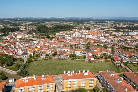 Helårsgrund i Ovar, Aveiro, Ovar - € 400.000 | Ref: ZMPT560855 - foto 12