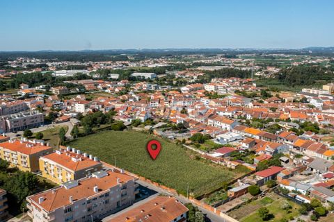 Helårsgrund i Ovar, Aveiro, Ovar - € 400.000 | Ref: ZMPT560855 - foto 13