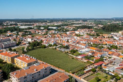 Helårsgrund i Ovar, Aveiro, Ovar - € 400.000 | Ref: ZMPT560855 - foto 14