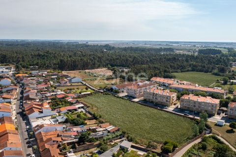 Helårsgrund i Ovar, Aveiro, Ovar - € 400.000 | Ref: ZMPT560855 - foto 15