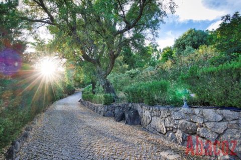 Villa i Monchique, Faro, Monchique - € 1.250.000 | Ref: AB0429 - foto 29