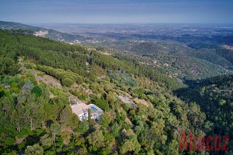 Villa i Monchique, Faro, Monchique - € 1.250.000 | Ref: AB0429 - foto 47