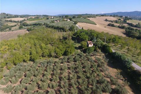 Landejendom i Gualdo Cattaneo, Perugia, Gualdo Cattaneo - € 300.000 | Ref: VCR129 - foto 5
